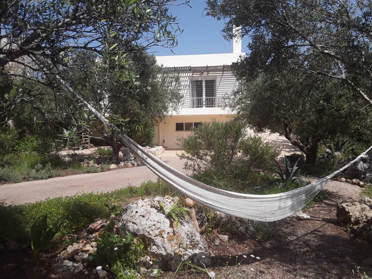 Hotel Alpha House Plaka  Exterior foto